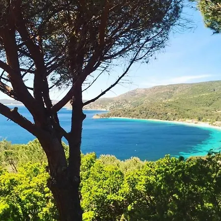 Magnifique A 50m De La De Cavaliere - Tamarindo Le Lavandou