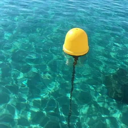 Magnifique A 50m De La De Cavaliere - Tamarindo Apartmán