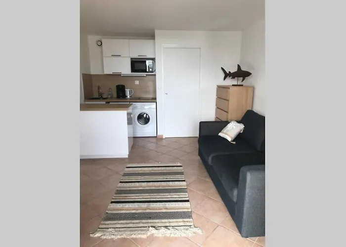 Magnifique A 50m De La De Cavaliere - Tamarindo Διαμέρισμα Le Lavandou