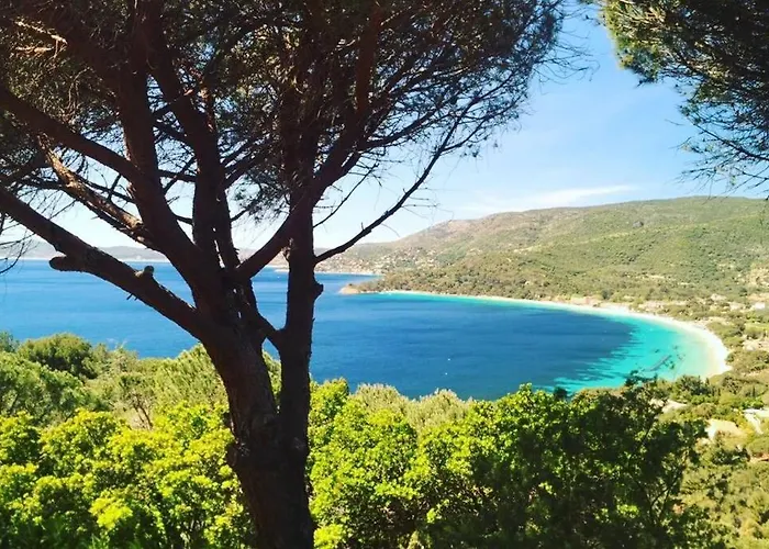 Magnifique A 50m De La De Cavaliere - Tamarindo Le Lavandou