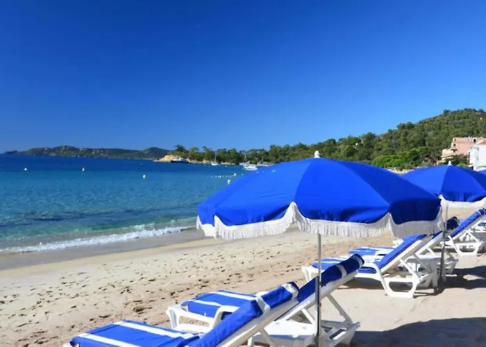 Апартаменты Magnifique A 50m De La De Cavaliere - Tamarindo