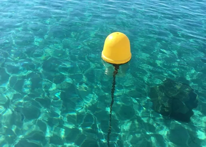 Magnifique A 50m De La De Cavaliere - Tamarindo Διαμέρισμα